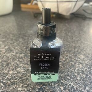 Bath and Body Works Frozen Lake Wallflower